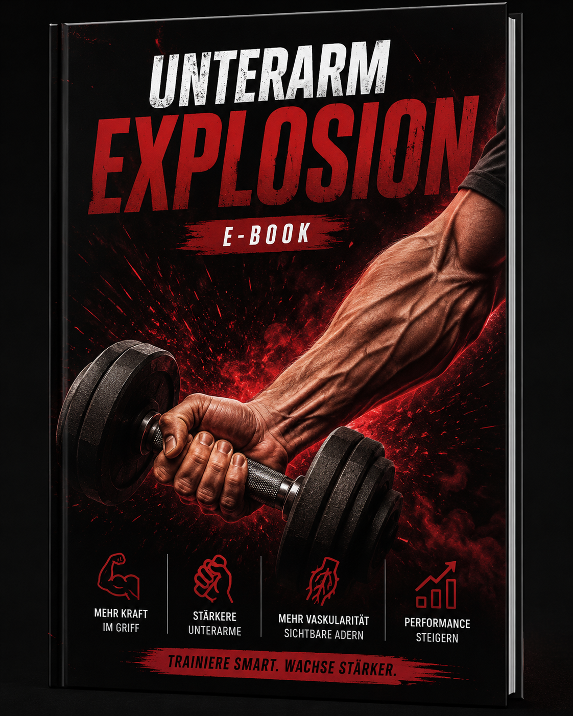 E-Book